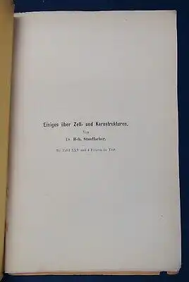 Stauffacher Einiges über Zell- und Kernstrukturen 1903 1 Tafel u. 4 Figuren   js