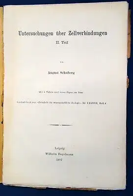 Schuberg Untersuchungen über Zelleverbindungen 1907 Bd. 87 Heft 4 Studium js