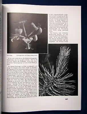 Fotografische Rundschau 13.Jahrgang 1936 Heft 1 Momentaufnahmen selten js