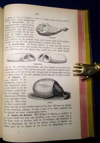Universal- Lexikon der Kochkunst Band 1 und 2 A-K, L-Z Wissen 1890 js