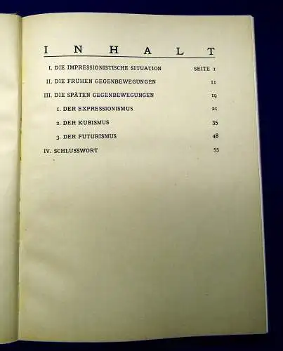 Fechter  Der Expressionismus 1919 mit 50 Abbildungen Geschichte Gesellschaft mb
