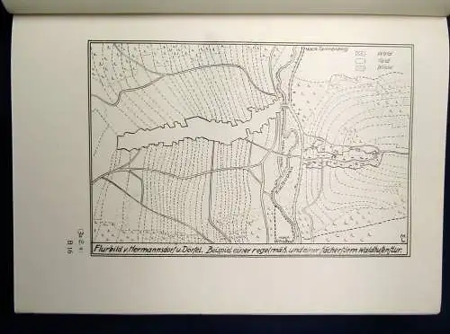 Pestalozziverein Die Provinz Sachsen in Wort und Bild Bd. 2, 200 Abb. 1902 js