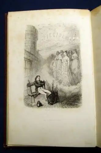 Saintine Picciola Quarante- Troisieme Edition um 1880 Erzählungen js