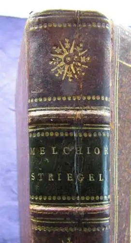 Melchior Striegel Ein heroischepisches Gedicht für Freunde 1799 Belletristik sf