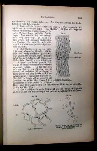 Bock Das Buch vom gesunden und kranken Menschen um 1900 js