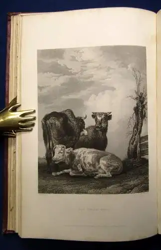 Cunningham The Cabinet of Pictures by the First Masters of Foreign Schools 1836