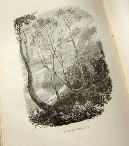 Töpfer Premiers Voyages en Zigzag 1868 dekorativ Belletristik Goldschnitt js