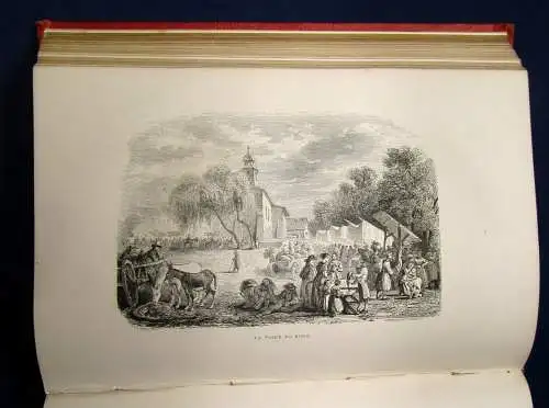 Töpfer Premiers Voyages en Zigzag 1868 dekorativ Belletristik Goldschnitt js