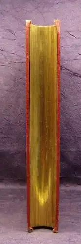 Töpfer Premiers Voyages en Zigzag 1868 dekorativ Belletristik Goldschnitt js