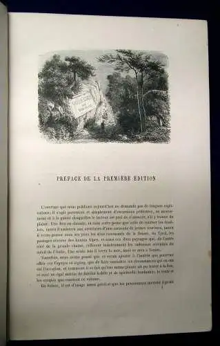 Töpfer Premiers Voyages en Zigzag 1868 dekorativ Belletristik Goldschnitt js