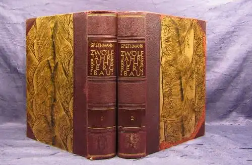 Spethmann 12 Jahre Ruhrbergbau 2 Bände von 5 1928 Geschichte mb