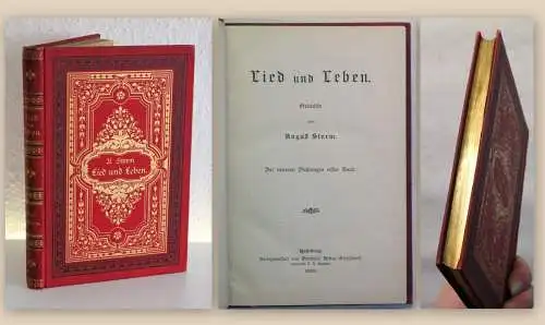 Sturm Lied und Leben Gedichte 1889 Werke Lyrik goldgeprägter Leinen Goldschnitt