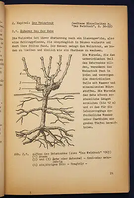 Federowski uw. Technologie der Wein- & Sektherstellung 4 Bde 1965 sehr selten sf