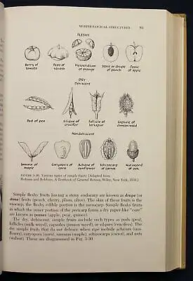 Janick Horticultural Science 1963 Natur Wissen Botanik Gartenbau Pflanzen sf