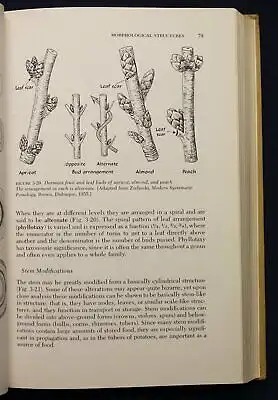 Janick Horticultural Science 1963 Natur Wissen Botanik Gartenbau Pflanzen sf