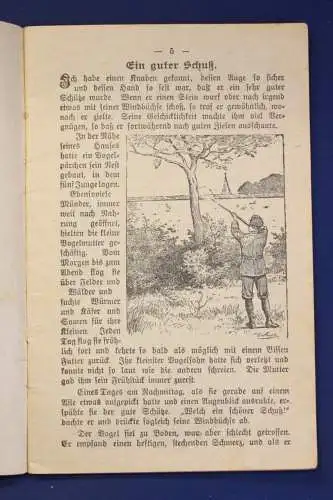 Müller Original Broschur Tierschutz- Kalender 1911 Erzählungen Tiere Zoologie js