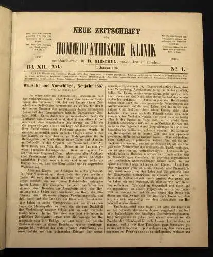 Hirschel Neue Zeitschrift für Homöopatische Klinik 13.Bd. 1867-69 Heilungen js