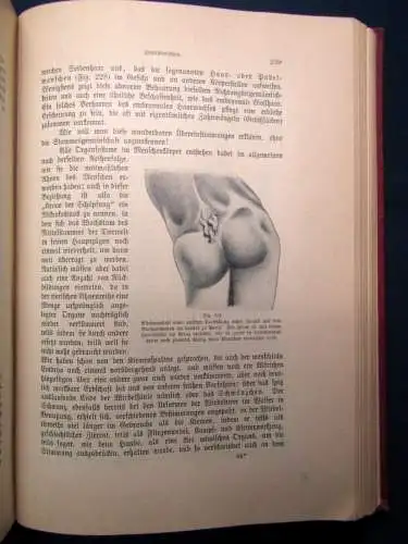 Sterne Werden und vergehen Eine Entwicklungsgeschichte 2 Bde. Kosmos 1905/06 js