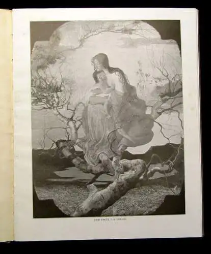 Klein Ferdinand Hodler und die Schweizer um 1900 Belletristik Literatur mb