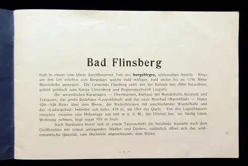 Bad Flinsberg um 1910 mit zahlreichen Abbildungen Städtefüher Guide Ortskunde mb