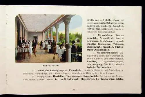 Bad Flinsberg um 1910 mit zahlreichen Abbildungen Städtefüher Guide Ortskunde mb
