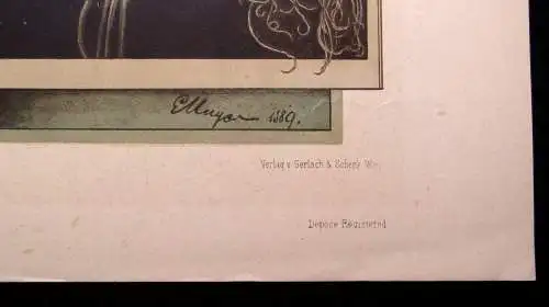 "Die Pflanze " 1886 Pl. 137 Kohlrabi, Rettig ,Sellerie E. Unger Lithographie