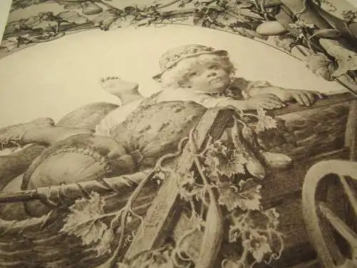 "Die Pflanze" 1886 Pl. 146 Heliogravüre Pumpkin,Squash,Gurke II Prof. F. Sturm