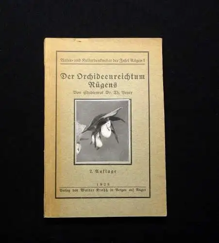Beyer Der Orchideenreichtum Rügens 1928 Botanik Flora Pflanze Natur