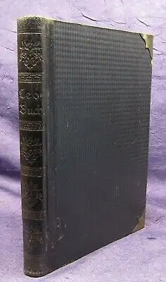 Waal Unseres heiligen Paters Papst Leo XIII. Leben 1887 Theologie Kirche js