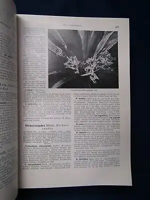 Pareys Blumengärtnerei 2 Bde. komplett 1932 Kultur Verwendung Züchtung js