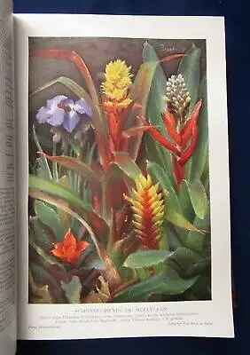 Pareys Blumengärtnerei 2 Bde. komplett 1932 Kultur Verwendung Züchtung js