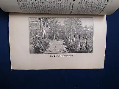 Canis Wanderungen durch Treuen und Umgebung 1898 Sachsen sehr selten Saxonica sf
