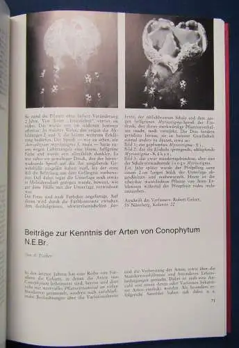 Kakteen und andere Sukkulenten 17. Jahrgang 1966 Natur Botanik Pflanzen sf