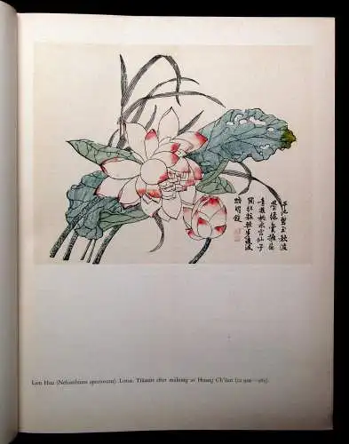 Siren Kinas Trädgardar - Gärten von China 2 Bde. in 1 1948/ 1950 Fantasie Natur