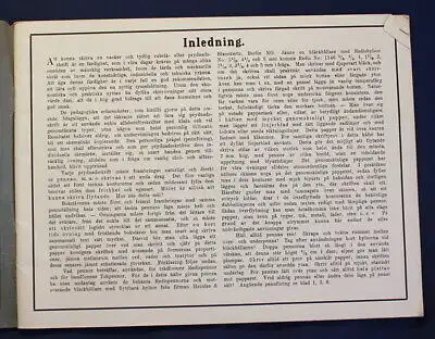 John Ekström Redis- Konstskrift Schriftmuster Katalog um 1923 Handschriftlich js