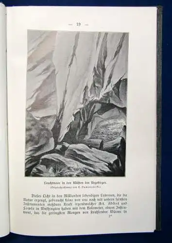 Meyer Bewohnte Welten 1909 Geschichte Landschaft Wissenschaft Wissen sf