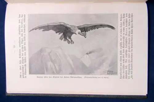 Meyer Bewohnte Welten 1909 Geschichte Landschaft Wissenschaft Wissen sf