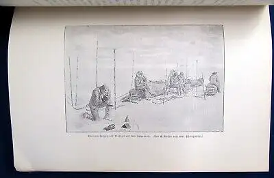 Nansen Auf Schneeschuhen durch Grönland 2.Bd. apart 1898 selten Abenteuer js