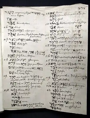 Hooght Quinque Libri Mosis Ex Libris Hebraicis Secundum Editiones 1861 js