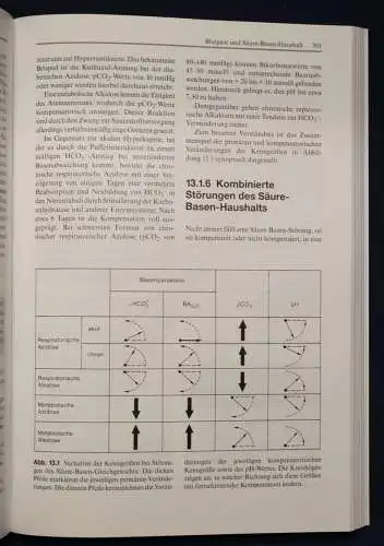 Bruhn/Fölsch Lehrbuch der Labormedizin 1999 Medizin Wissen Studium Grundlagen sf
