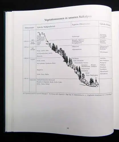 Hackenbuchner Chronik Saalfelden 2 Bde. 1989 Österreich Ortskunde Geographie