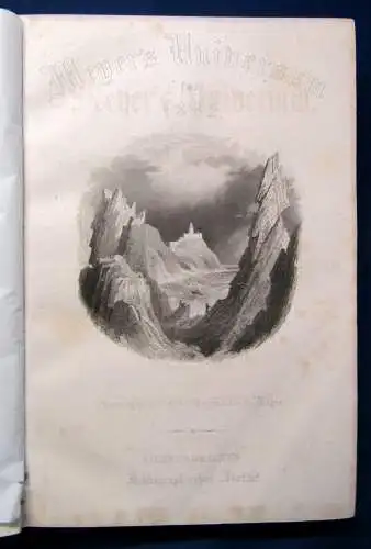 Meyers Universum Ein Jahrbuch für Freunde der Natur und Kunst 2.Bd. 1863 js 