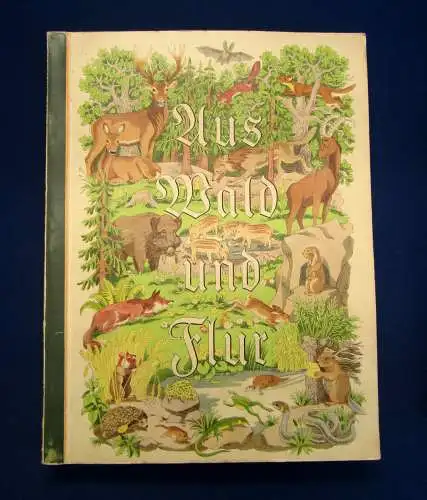 Nöldner Aus Wald und Flur SBA Pflanzen u. Tiere 1937/38 1 u.3 komplett mb 