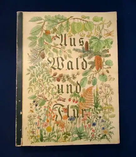 Nöldner Aus Wald und Flur SBA Pflanzen u. Tiere 1937/38 1 u.3 komplett mb 