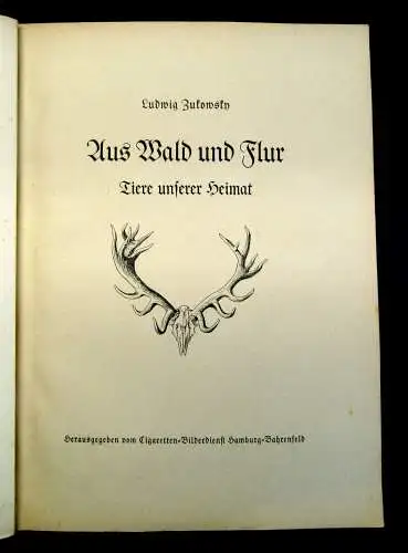 Nöldner Aus Wald und Flur SBA Pflanzen u. Tiere 1937/38 1 u.3 komplett mb 