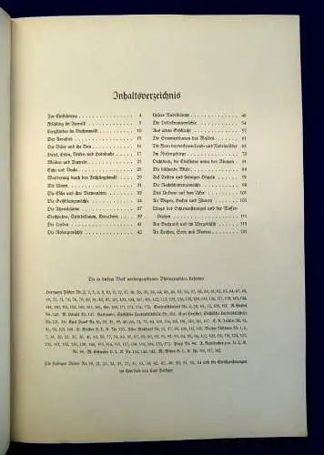 Nöldner Aus Wald und Flur SBA Pflanzen u. Tiere 1937/38 1 u.3 komplett mb 