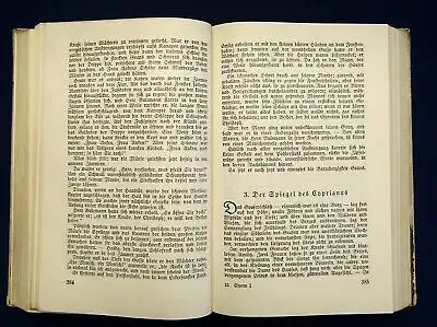 Theodor Storm Sämtliche Werke in 2 Bänden um 1920 Klassiker Belletristik js