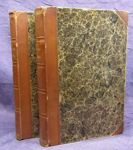 Lange Geschichte des Materialismus und Kritik seiner Bedeutung 2 Bde. 1896 js