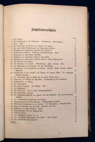 Rommel Leitfaden der Heimatskunde von Leipzig 1881 29 Abb. 1 Karte 1 Plan js