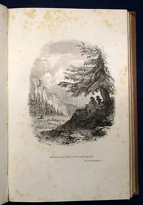 Topffer Nouvelles Genevoises 1845 EA Titelvignette Holzstiche Textholzstiche js